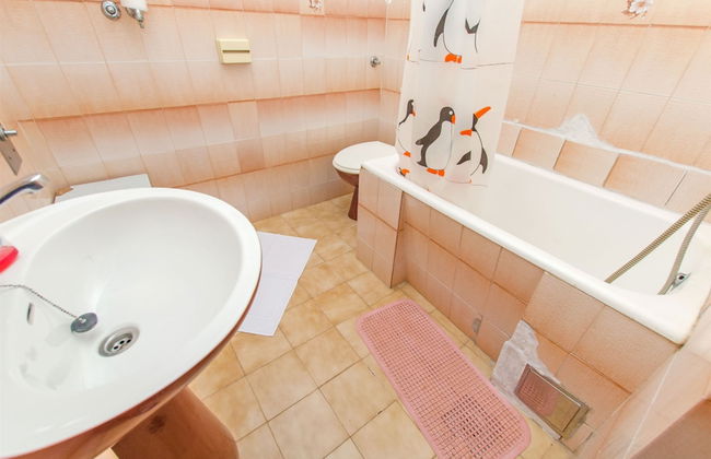 Apartments Bozjidar - Foto 24