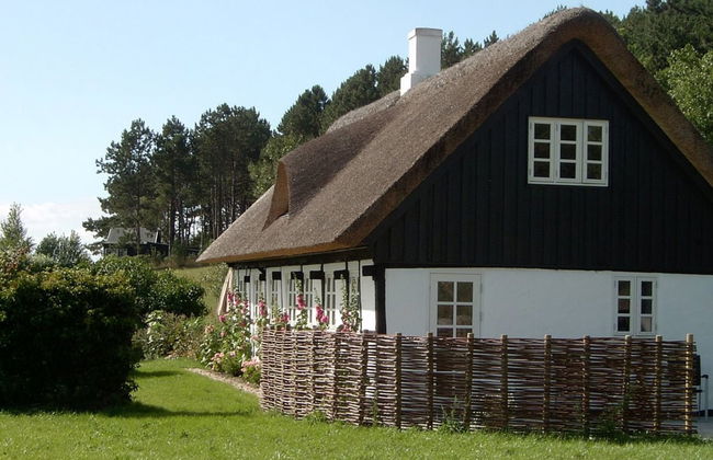 "Eva" - 1.5km to the fjord - Foto 10