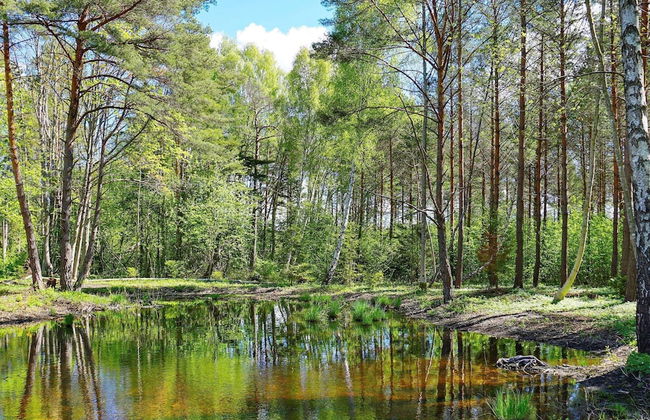 4 Person Holiday Home in Hemse - Foto 8