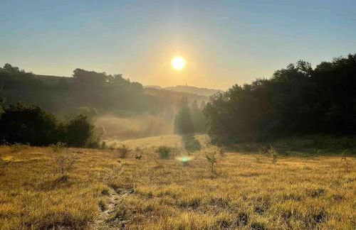 Las Vignes - Où le calm apaise l'âme - Foto 24