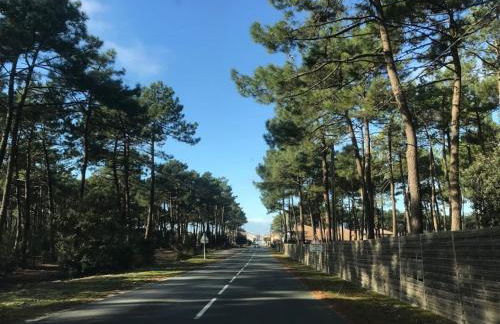Gîte du Médoc Calme Piscine privée Surf Médoc Montalivet - Foto 13