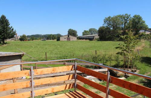 Ferienwohnung Feldblick - Foto 24