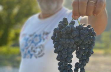 Villa Venti - Craft Wine & Hospitality - Foto 55