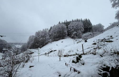 Bauernhaus im Münstertal - Foto 19
