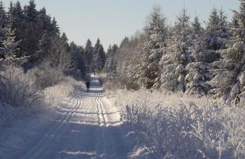 Ferienhaus Fam. Gottbehüt - Foto 8