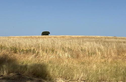 Villa Nooma Alentejo - Foto 17