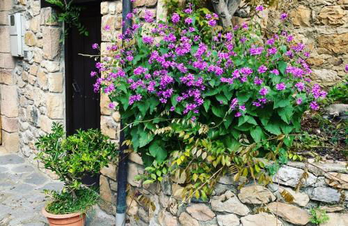 Posada El Pareón - Photo 19