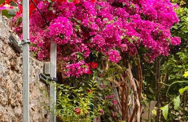 Casa di Gio - Photo 9