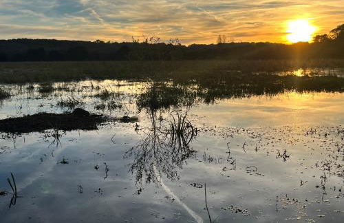 Ecrin de verdure Entre forêt et océan - Foto 24