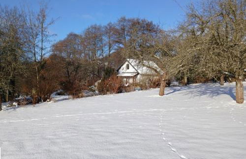 Ferienhaus Schlosswaldblick im Erzgebirge - Foto 28