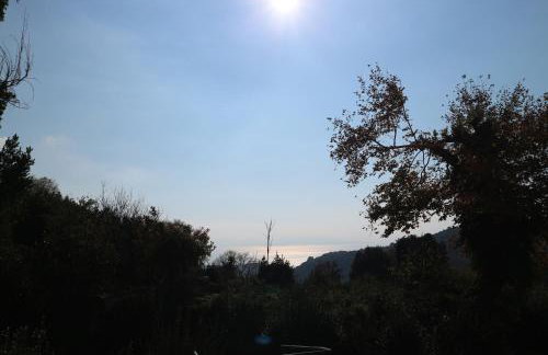 Villa Elea in Milies Pelion - Foto 11