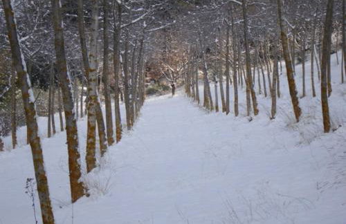 Agriturismo Istrice Innamorato - Photo 86