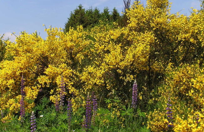 Mechthild and Hans-jurgen Geschwind - Foto 13