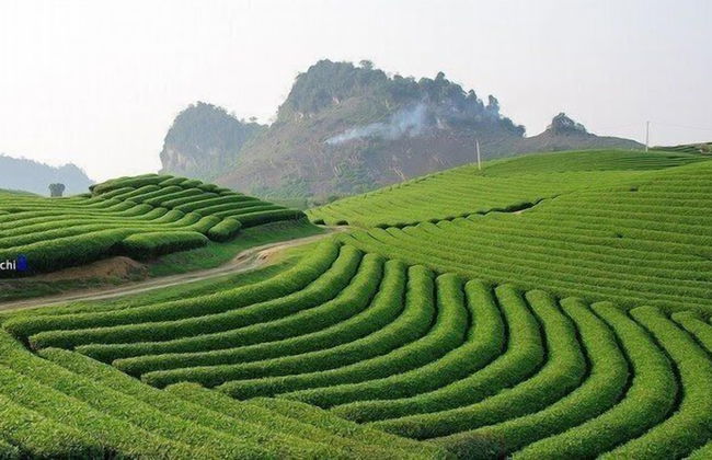 Homestay Lang Che 69 - Foto 17