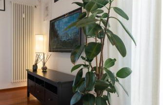 Perugino Home - Foto 17