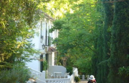 Apartamentos Los Manueles - Foto 8