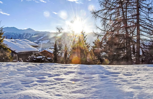 Diure 0113 - Foto 12