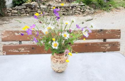 Ferienhof Lang - Foto 9