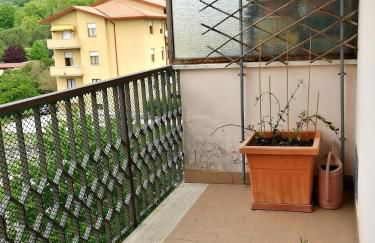 Il Gelsomino Assisi - Foto 25