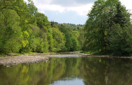 Agroturystyka Smolnikowe Klimaty - Sauna&Jacuzzi - Foto 46