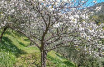 Agriturismo Villa Caterina - Foto 27