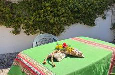 Salento sea mare - Foto 7