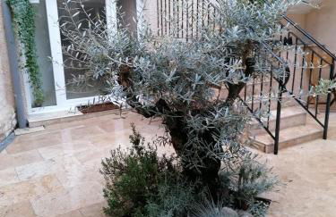 Appartement PERIGUEUX Garage attenant Fibre Climatisation - Foto 1