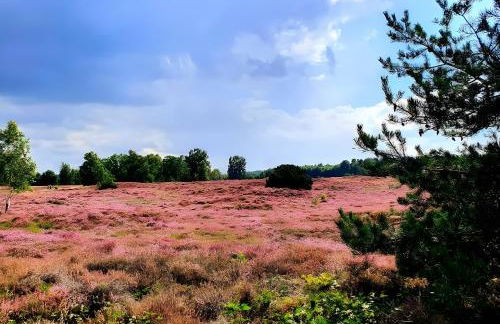 Ferienhaus Thomas - Foto 36