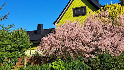 "Zur Alten Schusterei" 98597 Breitungen an der Werra - Foto 2, Garden