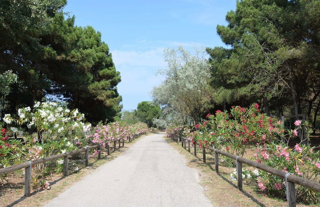 Comfy Stay by Po Delta Park - Foto 32