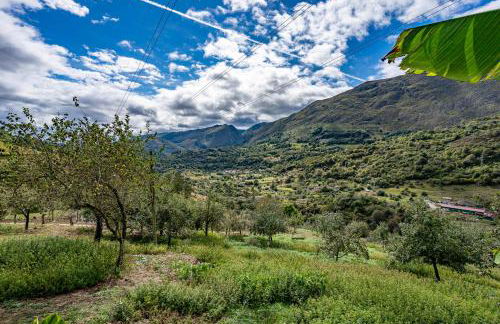 Casas de Para Casa de Abajo - Foto 24