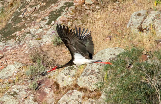 Balade en bateau sur le Tage - Photo 5