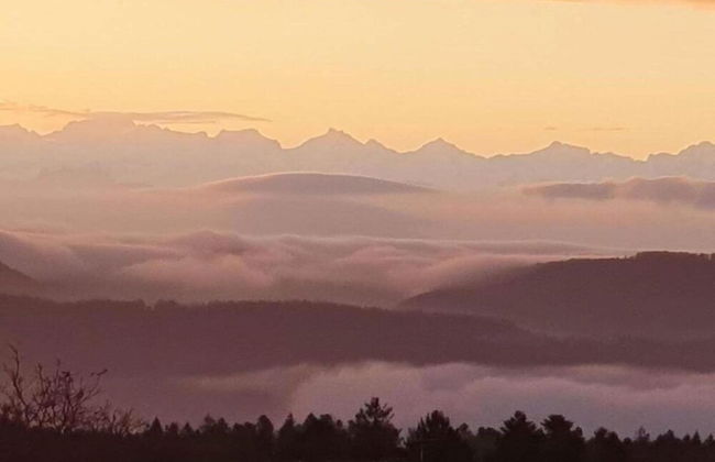 Elegante Ferienwohnung mit Aussenpool Schwarzwald - Foto 38