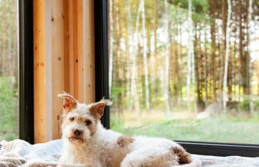 Ten Mały Domek - Foto 36