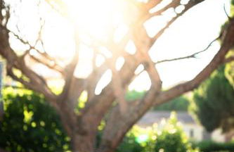 Calme et lumineux à 5min du port et des plages - Foto 32
