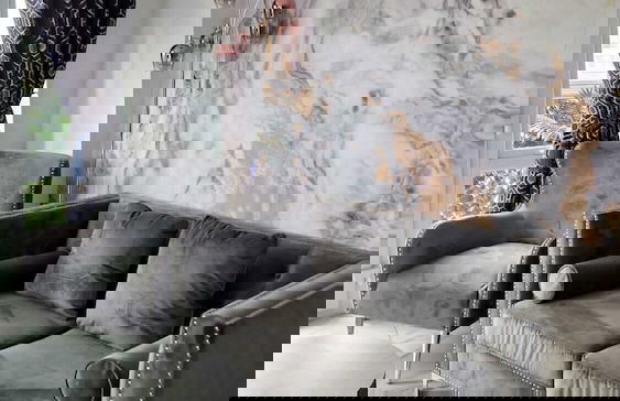 Two bed apartment with balcony Slough,Windsor,Legoland - Foto 16