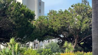 Mi Capricho Beach Front sea View Pool - Foto 4