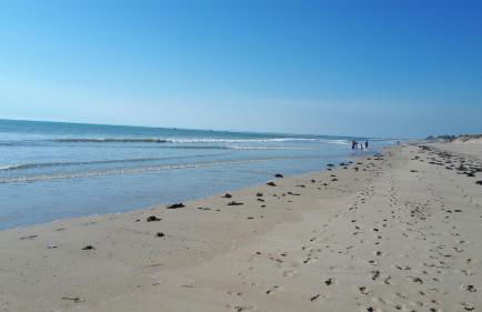 Gîte LES CHANTS DU CREPUSCULE - Foto 46