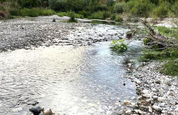 Can Còdol de Fluvià - Casita - Foto 19