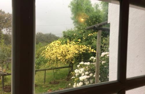 Monte do Rei Santo - Foto 22