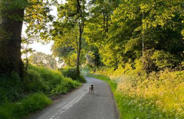 The Hayloft - Foto 14