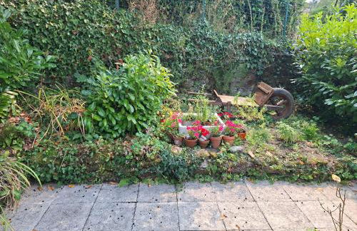 Summerfields - Foto 41