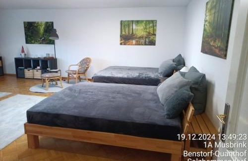 exklusives lichtdurchflutetes Apartment incl Gästegarten umzäunt - Foto 12