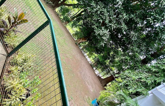 House w 3 Bedrooms And 3 Baths - Free Parking - Photo 31