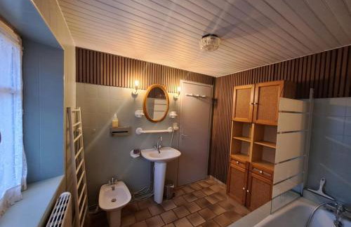 Nouveau - Maison Nierveze proche Lioran - Foto 11