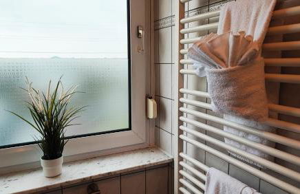 ZV38-Mammut-2 - Foto 10