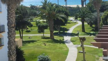 Vitamin Sea - Photo 5, Garden view