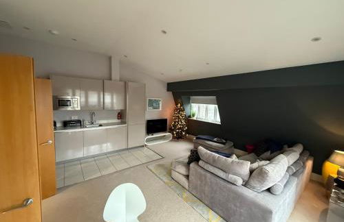 HM111 Penthouse Apartment with Lake View & free Spa Access- Lower Mill Estate Cotswolds - Foto 3