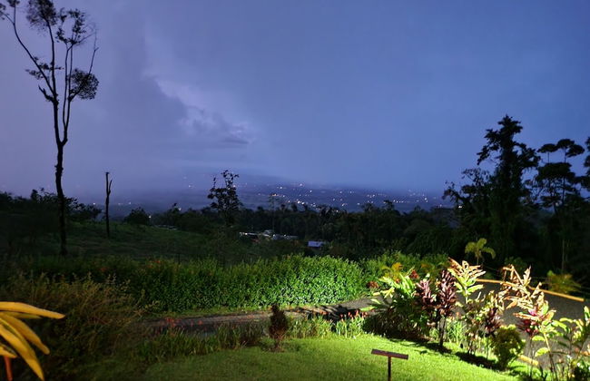 Cabañas Caeli Rainforest Glass Cabin La Perezosa La Fortuna - Foto 49