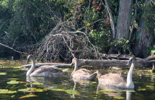 Gospodarstwo Agroturystyczne w Maradkach u Justyny - Photo 3